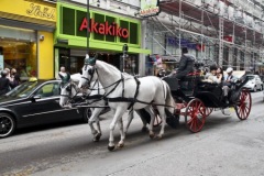 Австрия 42