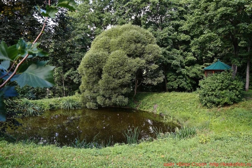 Дворяниново 40