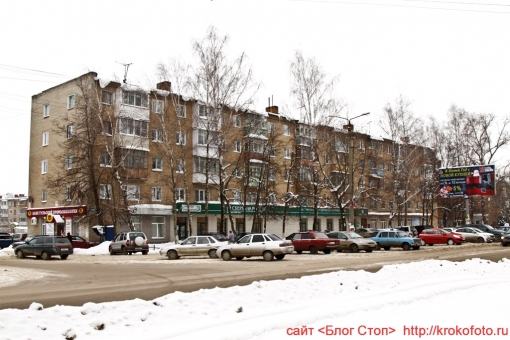 Щёкино зимой 181