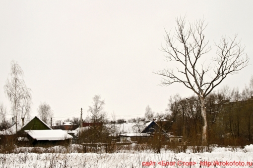 Щёкино зимой 196