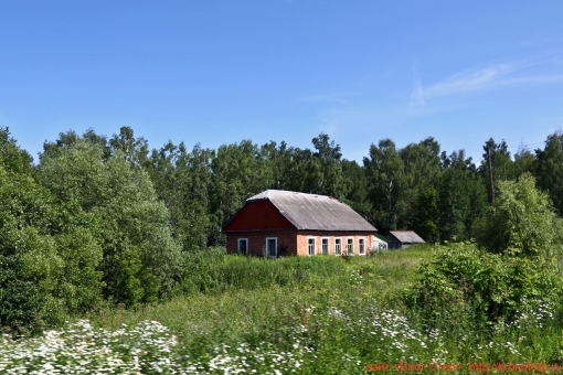 Крапивна 27