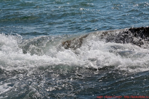 море 27