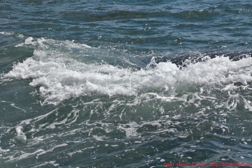 море 29