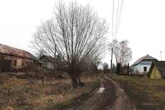 Новое-Павшино-13