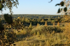 осенние пейзажи 4