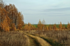 осенние пейзажи 15