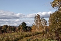 осенние пейзажи 36