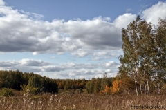 осенние пейзажи 39