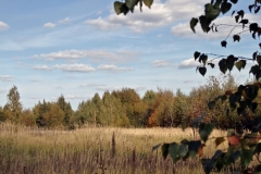 осенние пейзажи 42