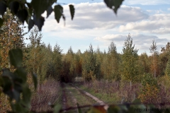 осенние пейзажи 44