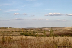 осенние пейзажи 45
