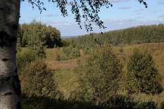 лето 175