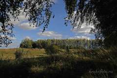 лето 176