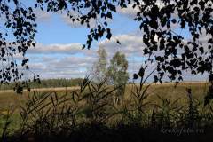 лето 177