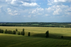 лето 31