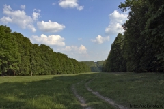 лето 47