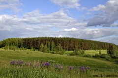 лето 57