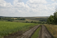 лето 71