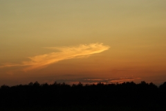 лето 88