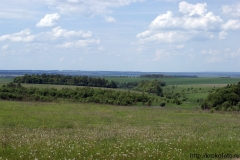 лето 91