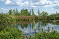 лето 92