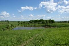 лето 94
