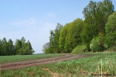 лето 109