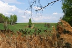 лето 110