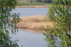 лето 111
