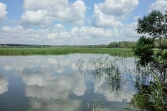 лето 169