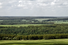 лето 124