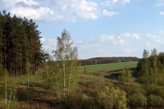лето 115