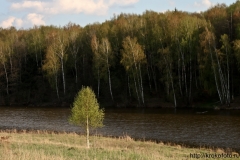 лето 116