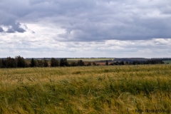 лето 139