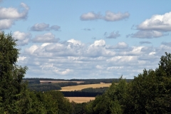 лето 146