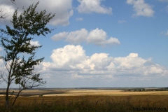 лето 148