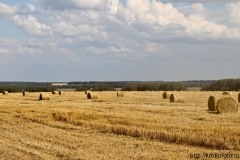 лето 149