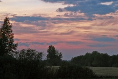 лето 154