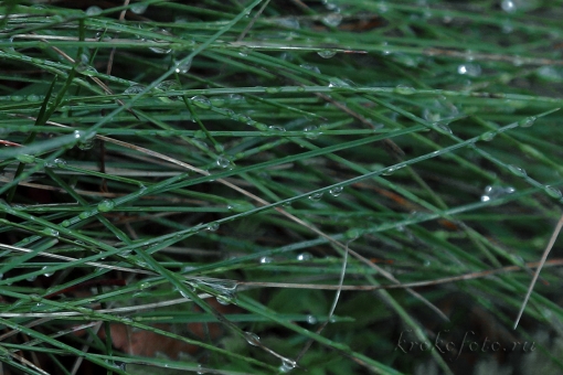 природа 103