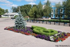 Пришня 48