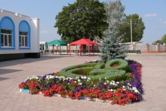 Пришня 51