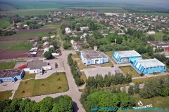 Пришня 130