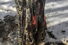 разное 55