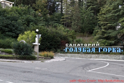 Сочи Хоста 33