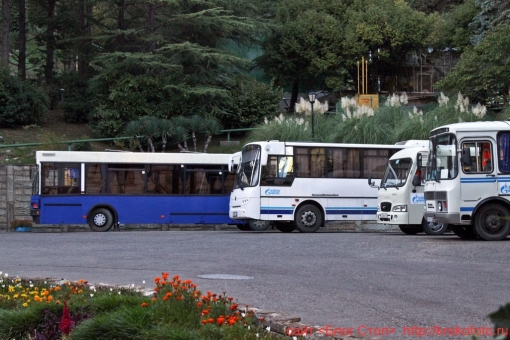 Сочи Хоста 104