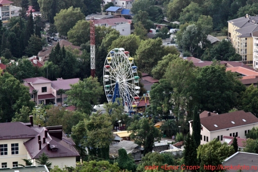 Сочи Хоста 120
