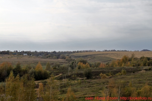 Щёкинский район 33