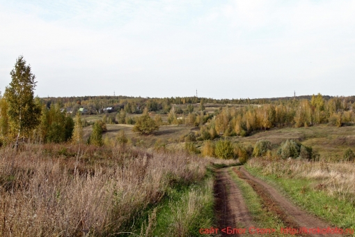 Щёкинский район 34