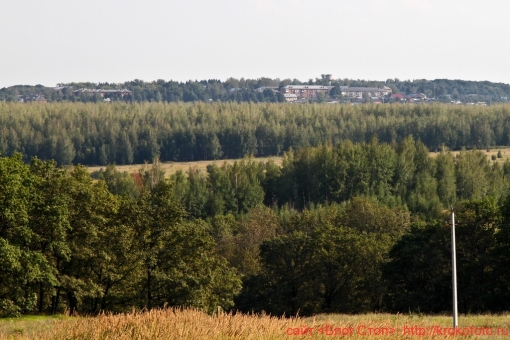Советск 43