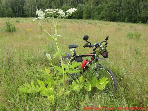 средства передвижения 20